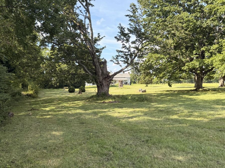 Property Image 63