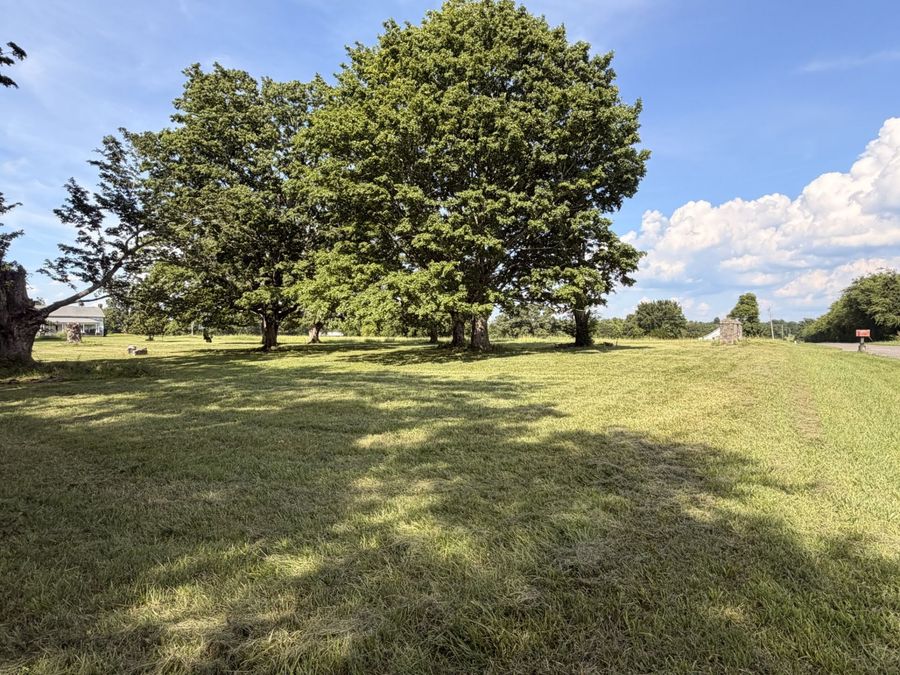 Property Image 64