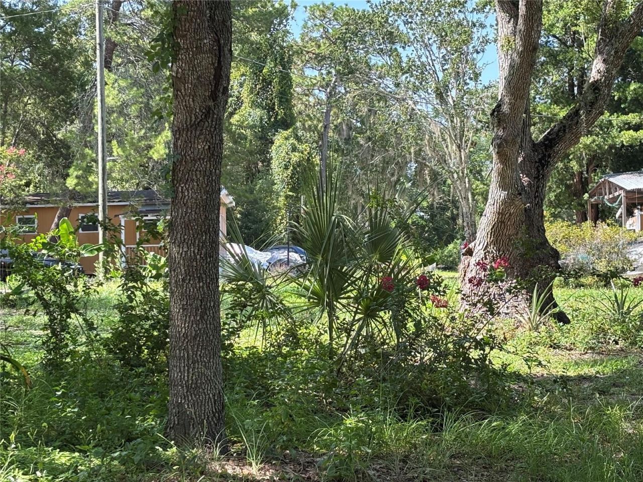 10416 Hudson Avenue , Hudson, FL 34669 Photo