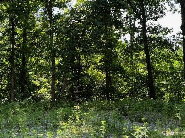 Lot 6 Southborough Lane , Bella Vista, AR 72714