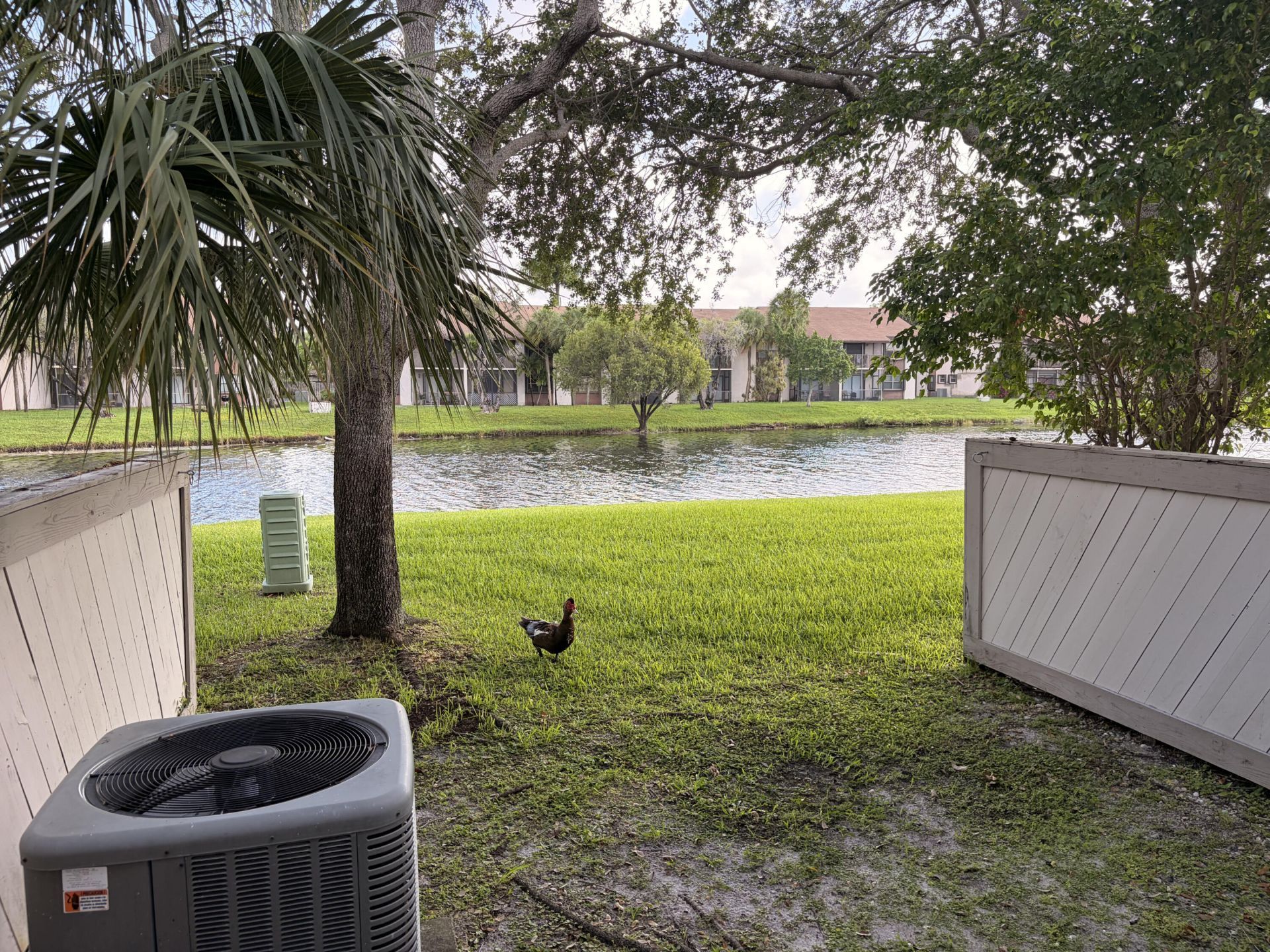 9825 NW 37th Street, Unit 5F, Sunrise, FL 33351 Photo
