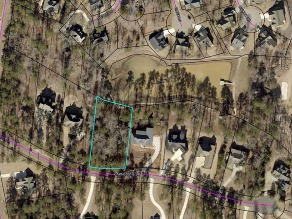 1040 Carnoustie Drive, Greensboro, GA 30642