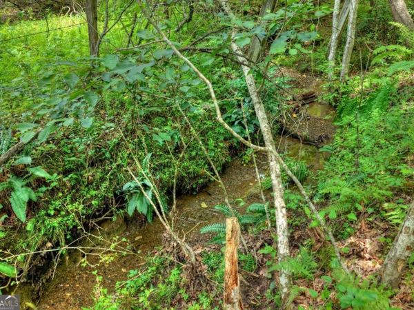 0 Scots Glen Road, Mineral Bluff, GA 30559