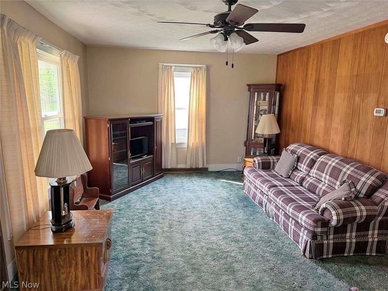 203 Bridge Street, Minerva, OH 44657 Photo 12