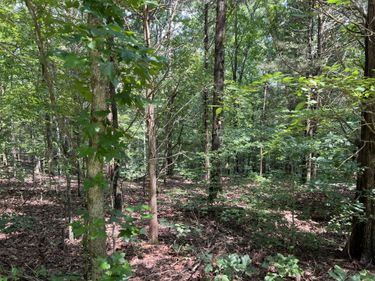 Lot 53 Baypoint Lane, New Concord, KY 42076