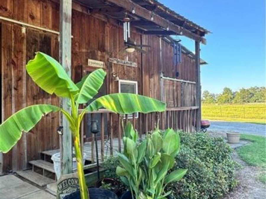 Property Image 68