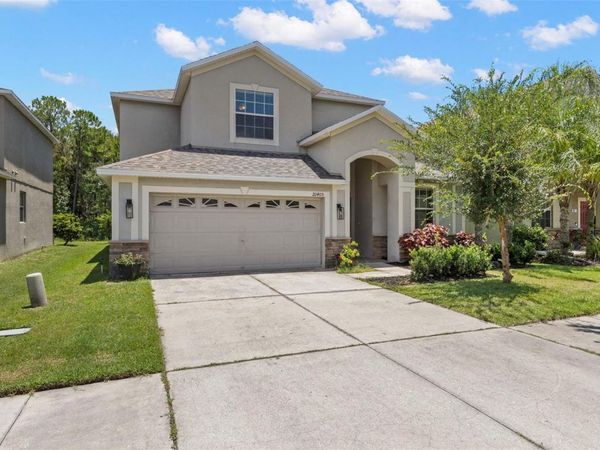 20405 AUTUMN FERN AVENUE , TAMPA, FL 33647
