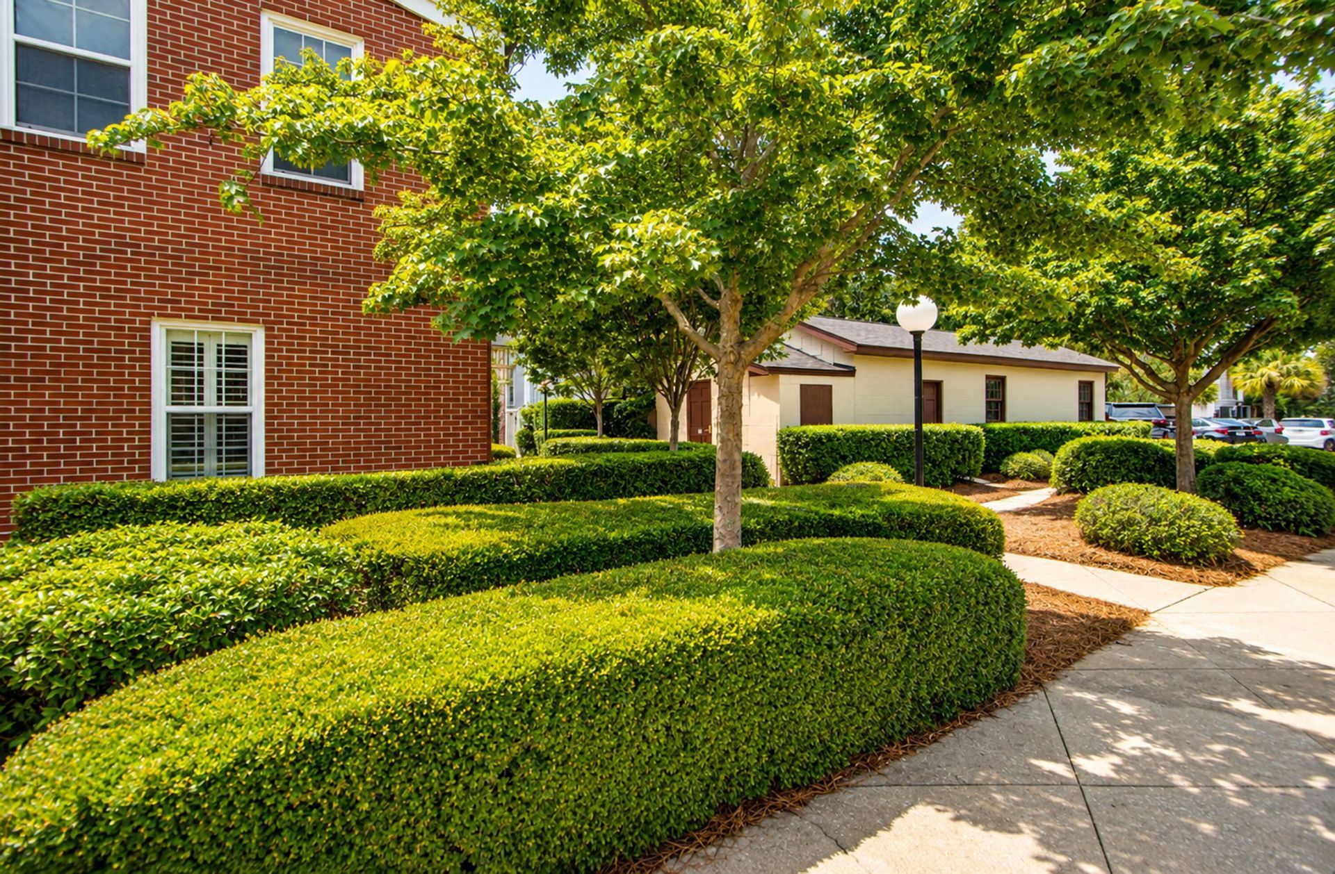 55 Ashley Avenue Photo 23