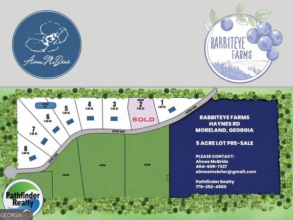 LOT 3 Haynes Road, Moreland, GA 30259