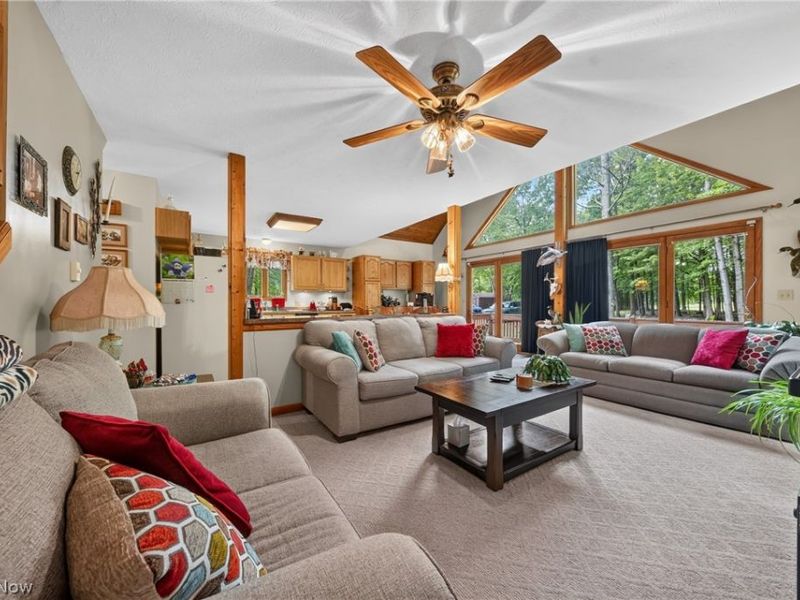 2770 Sylvia Avenue, Jefferson, OH 44047 Photo 4