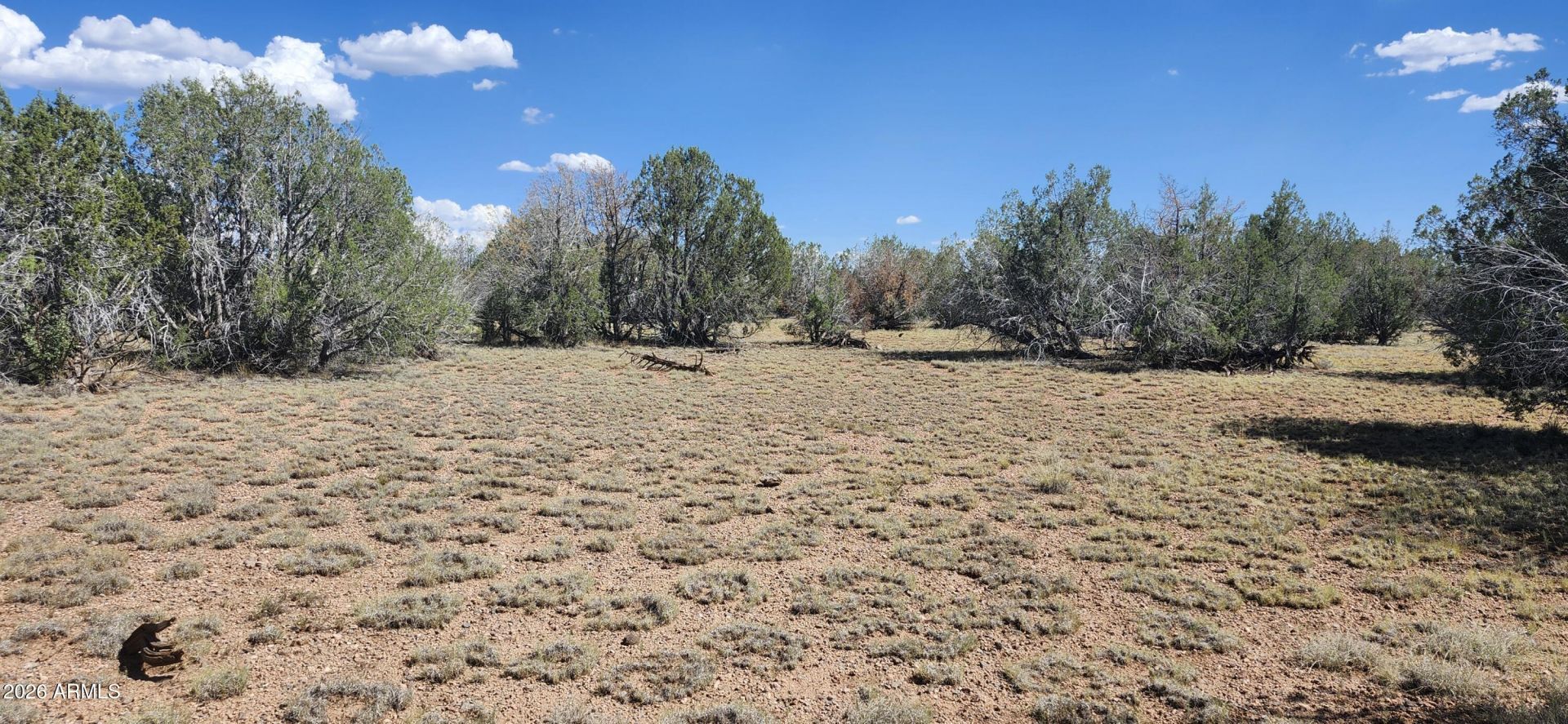 2901 N Cienega Drive, Ash Fork, AZ 86320
