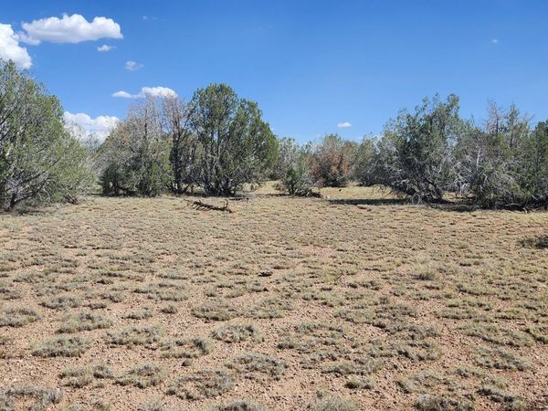 2901 N Cienega Drive, Unit A, Ash Fork, AZ 86320