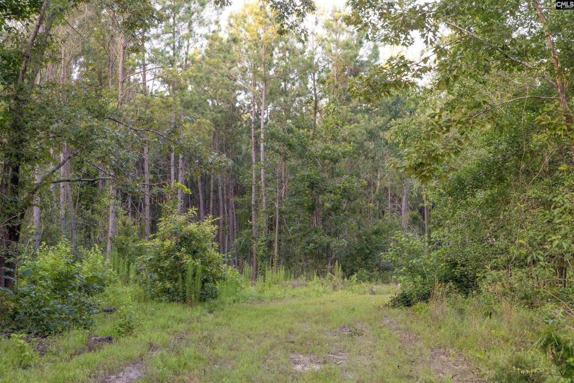Tbd Rizer Cemetary Road  Photo 11