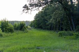 Tbd Rizer Cemetary Road  photo 4