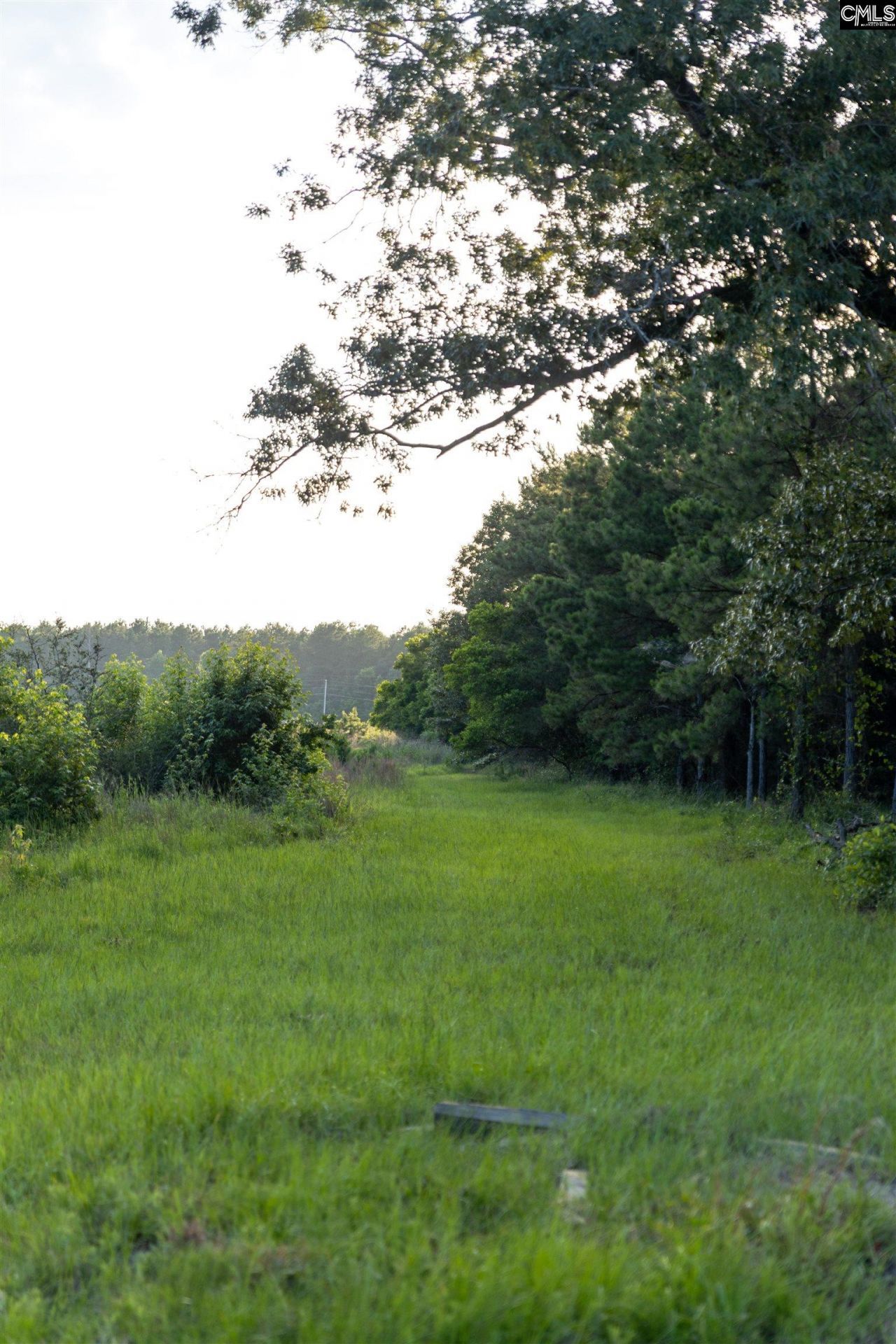 Tbd Rizer Cemetary Road  Photo 4
