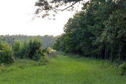 Tbd Rizer Cemetary Road  photo 4