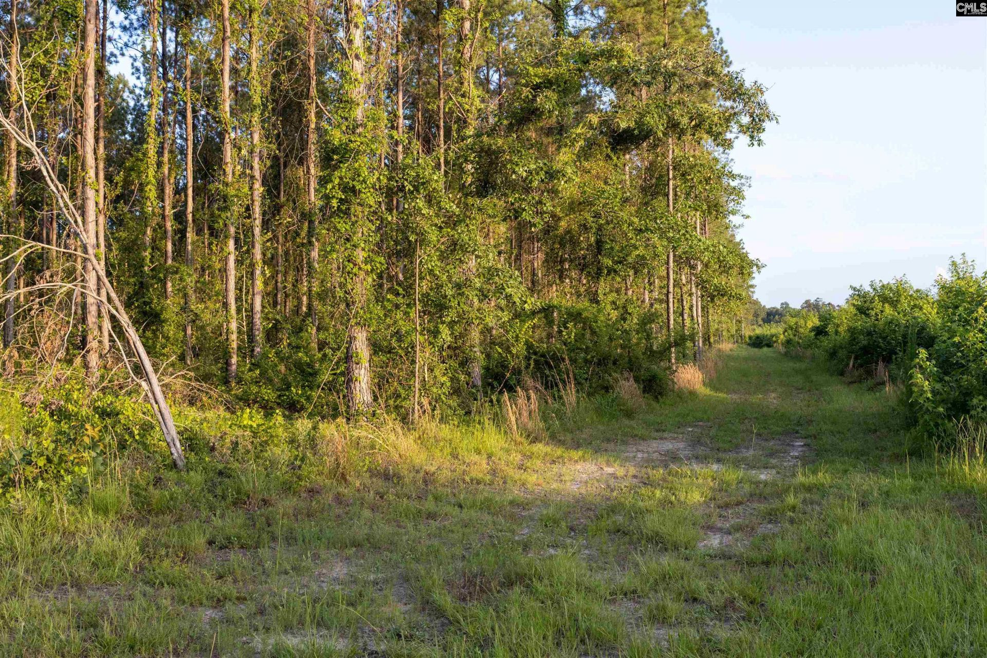 Tbd Rizer Cemetary Road  Photo 6