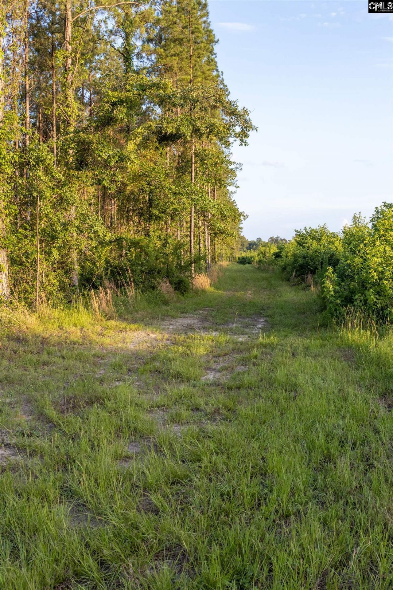 Tbd Rizer Cemetary Road  Photo 7