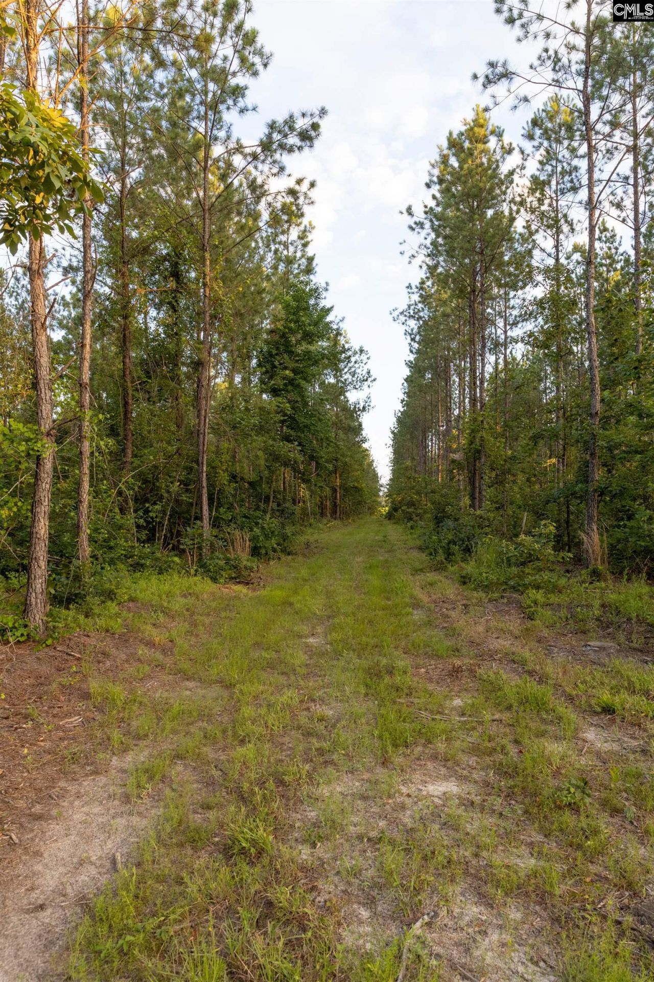 Tbd Rizer Cemetary Road  Photo 8