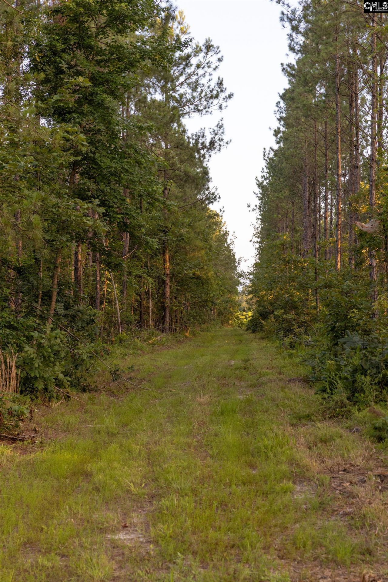 Tbd Rizer Cemetary Road  Photo 9