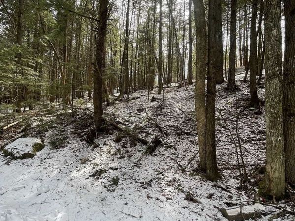 000 Hinkley Brook Road, Grafton, VT 05146