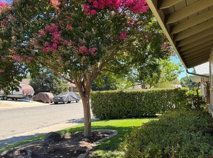 1677 Poplar St, Oakdale, CA 95361 Photo