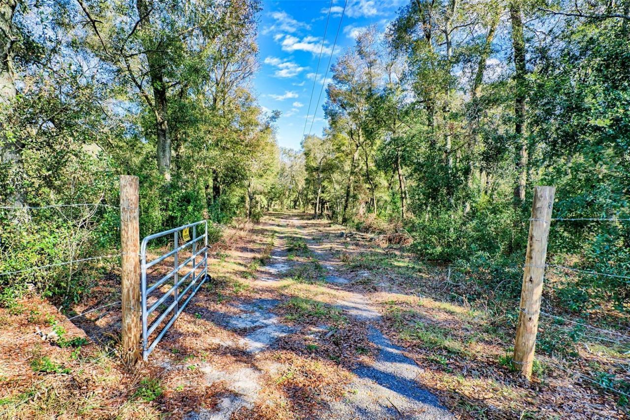 300 S Us Highway 129 , Bell, FL 32619 Photo