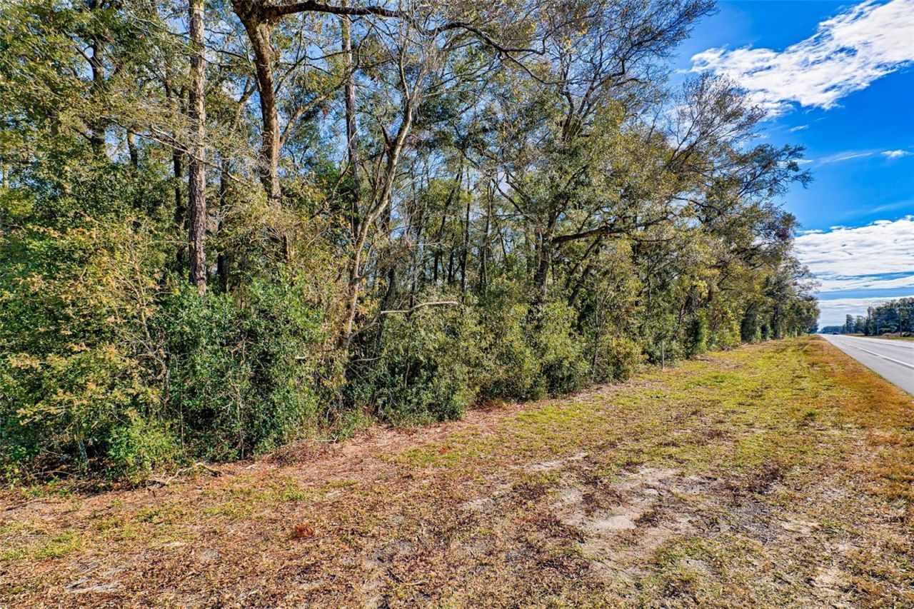 300 S Us Highway 129 , Bell, FL 32619 Photo
