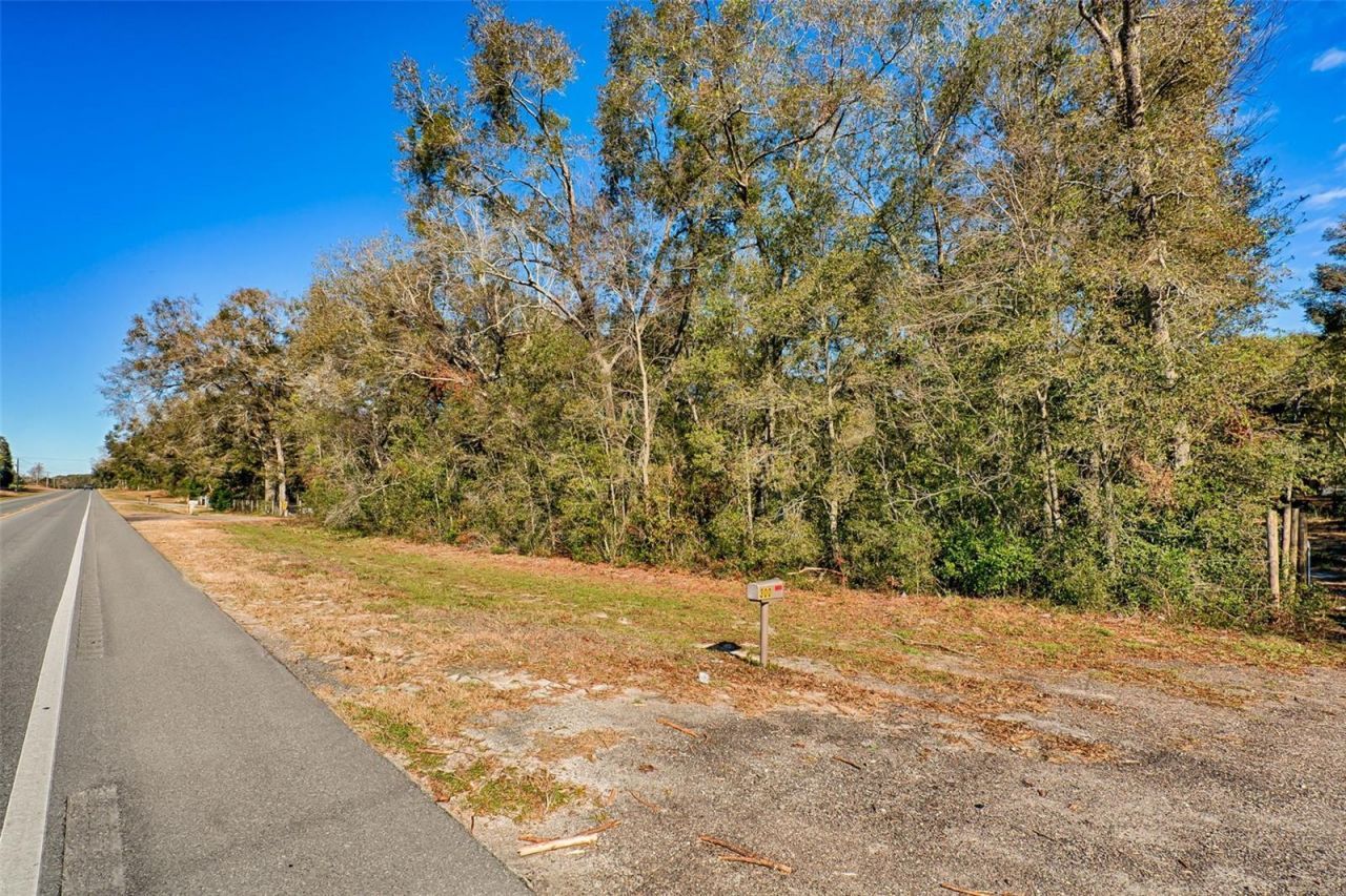 300 S Us Highway 129 , Bell, FL 32619 Photo