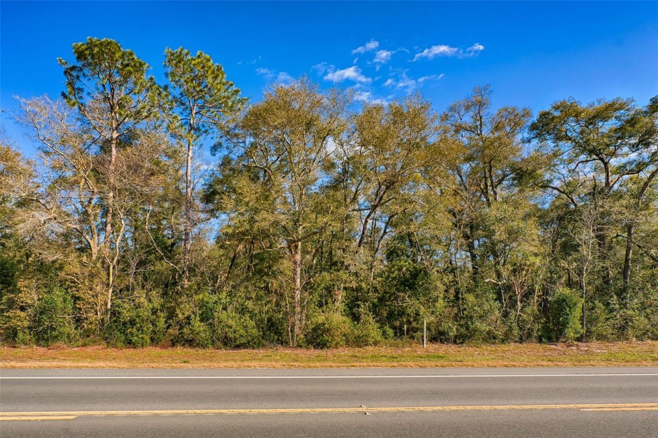 300 S Us Highway 129 , Bell, FL 32619 Photo