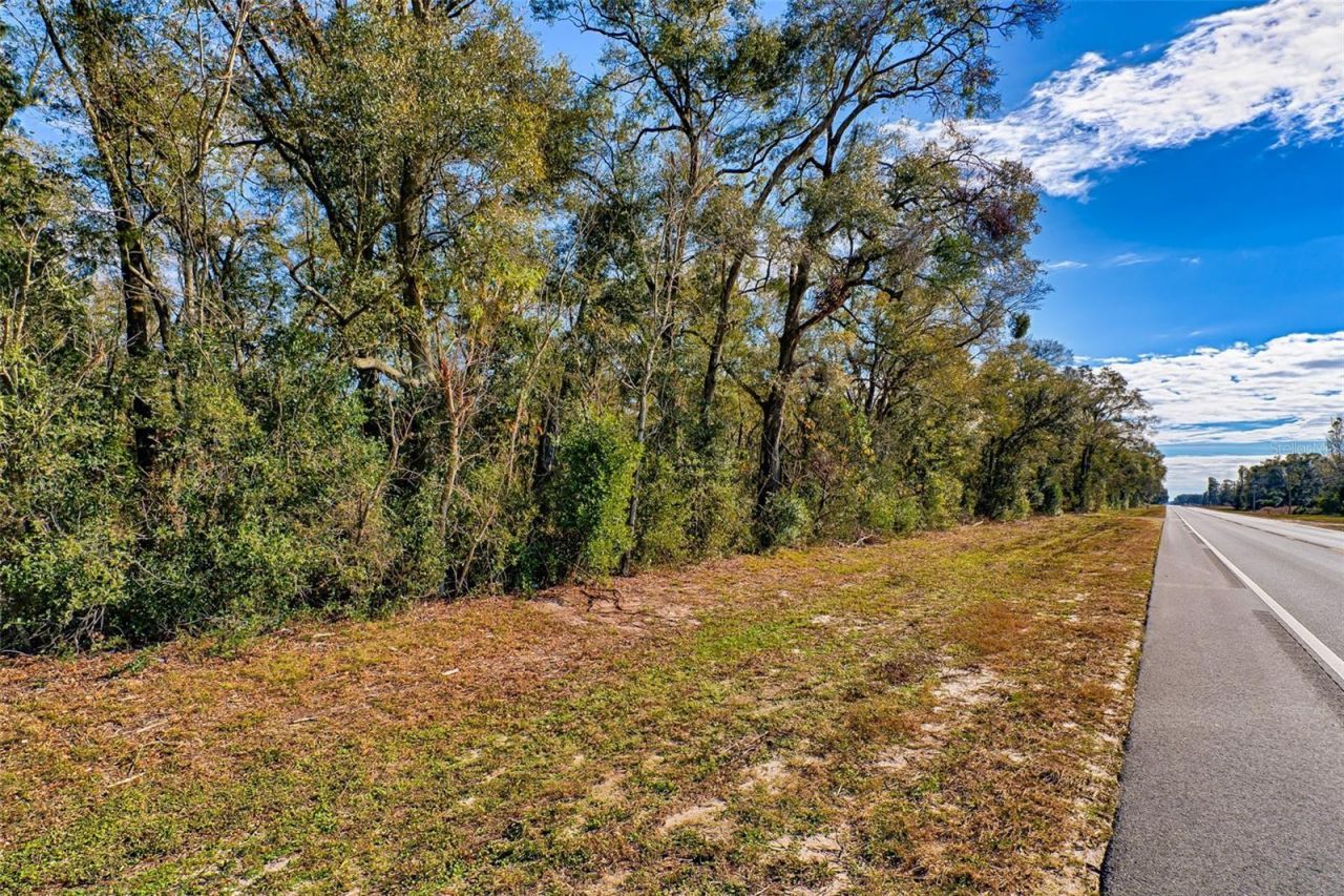 300 S Us Highway 129 , Bell, FL 32619 Photo