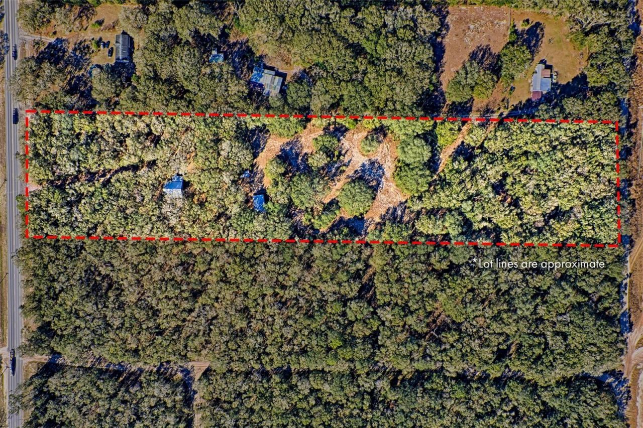 300 S Us Highway 129 , Bell, FL 32619 Photo