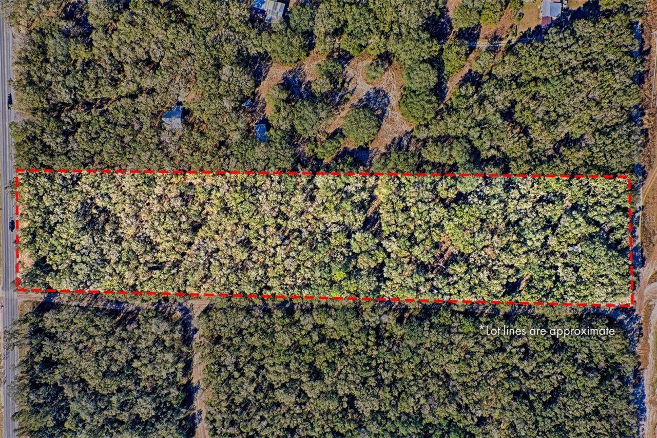 300 S Us Highway 129 , Bell, FL 32619 Photo