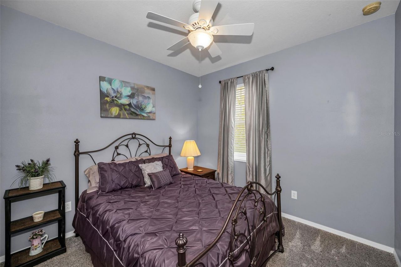 3436 Lonzalo Way , New Port Richey, FL 34655 Photo