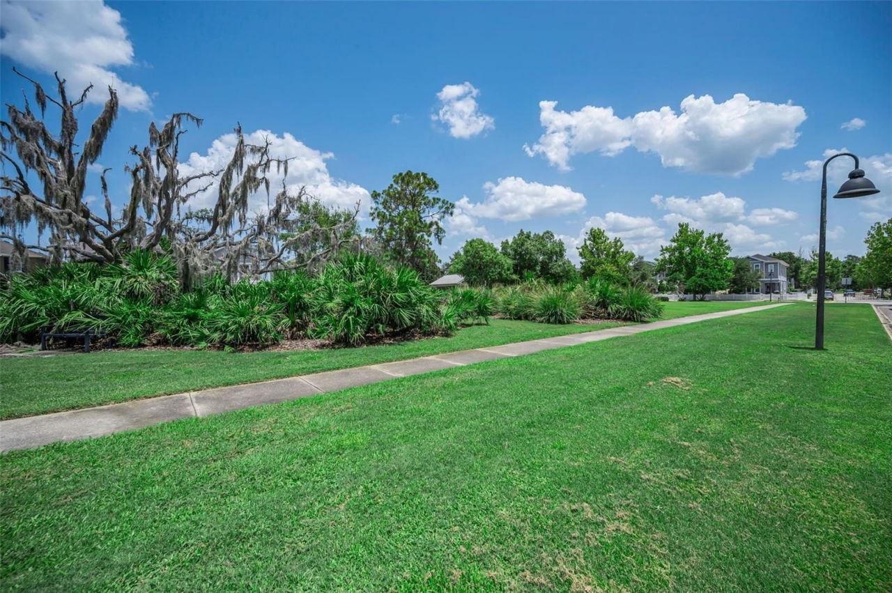 3436 Lonzalo Way , New Port Richey, FL 34655 Photo