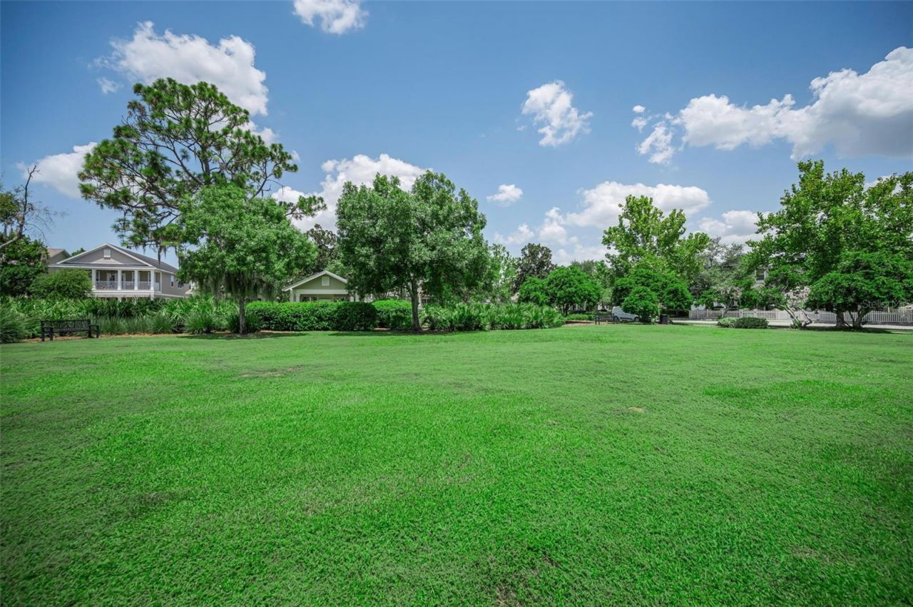 3436 Lonzalo Way , New Port Richey, FL 34655 Photo