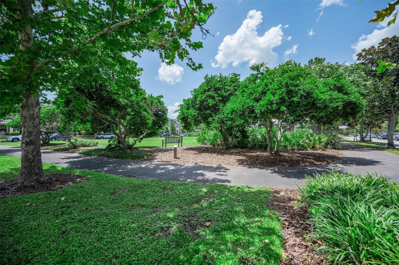 3436 Lonzalo Way , New Port Richey, FL 34655 Photo