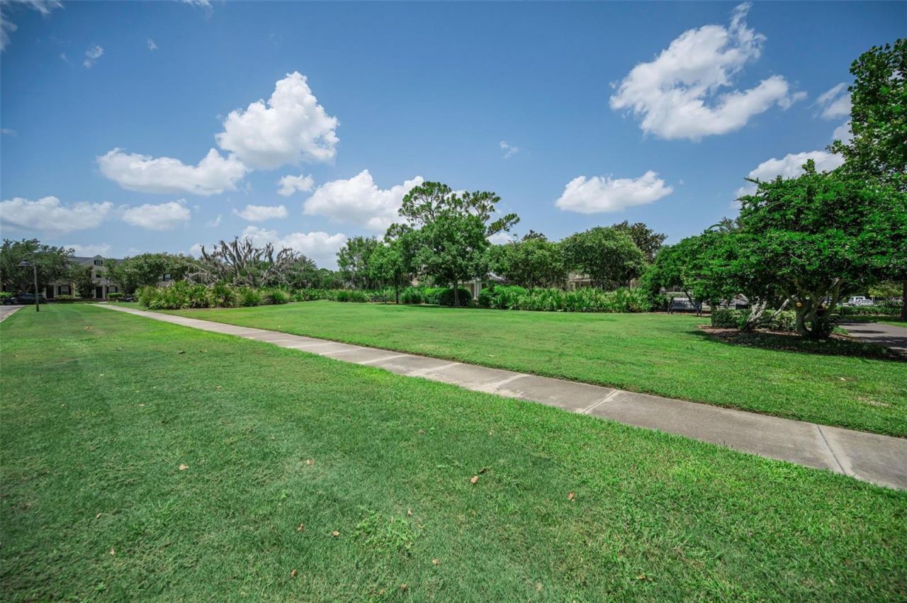 3436 Lonzalo Way , New Port Richey, FL 34655 Photo