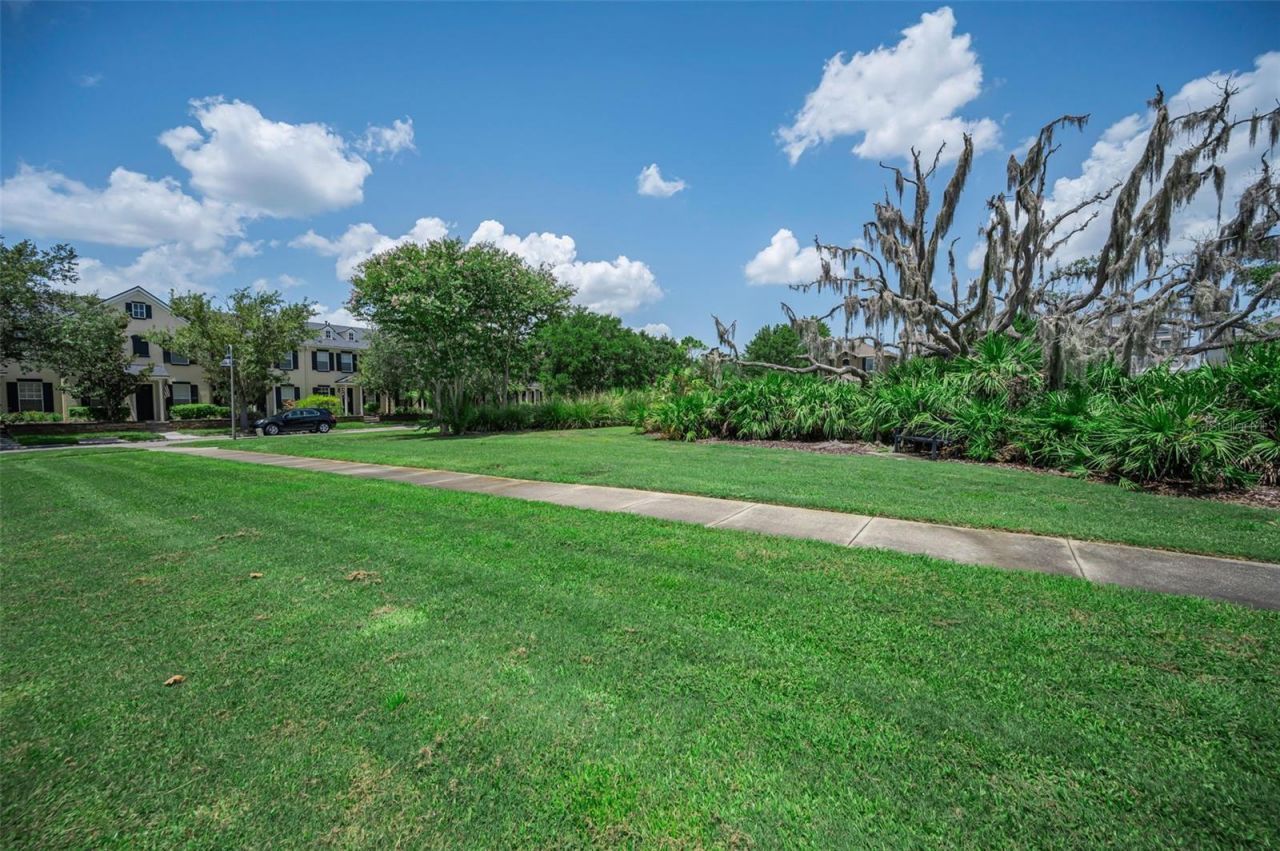 3436 Lonzalo Way , New Port Richey, FL 34655 Photo