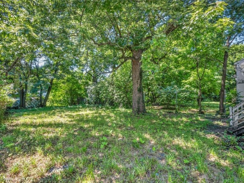 9908 Bessemer Avenue, Cleveland, OH 44104 Photo 6