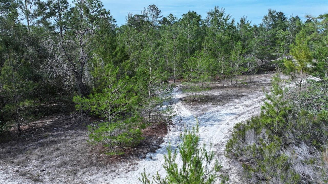 11488 Seely Lane , Brooksville, FL 34613 Photo