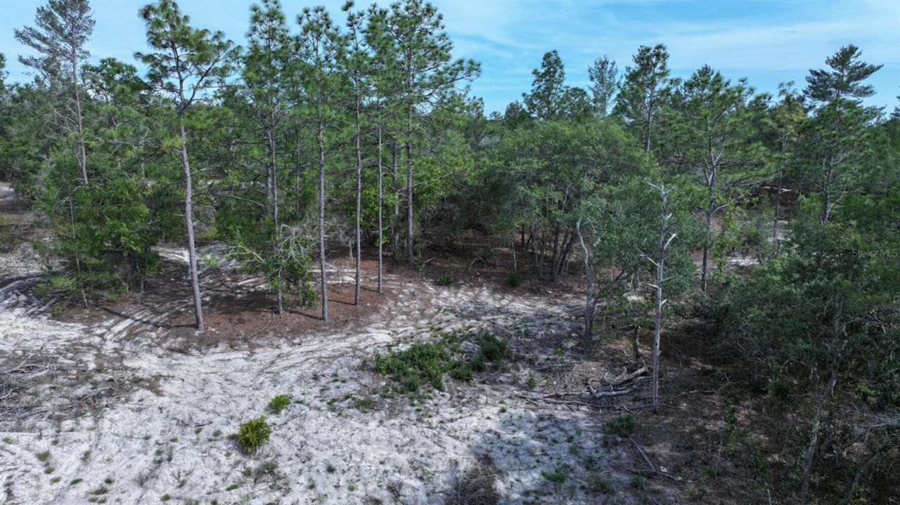 11488 Seely Lane , Brooksville, FL 34613 Photo