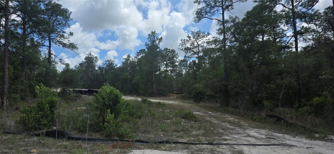 11488 Seely Lane , Brooksville, FL 34613 Photo
