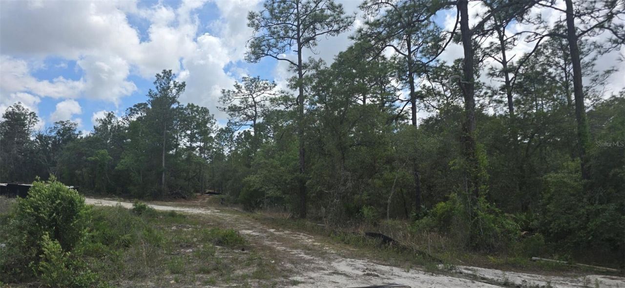 11488 Seely Lane , Brooksville, FL 34613 Photo