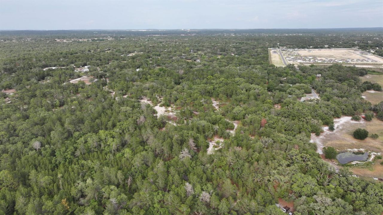 11488 Seely Lane , Brooksville, FL 34613 Photo