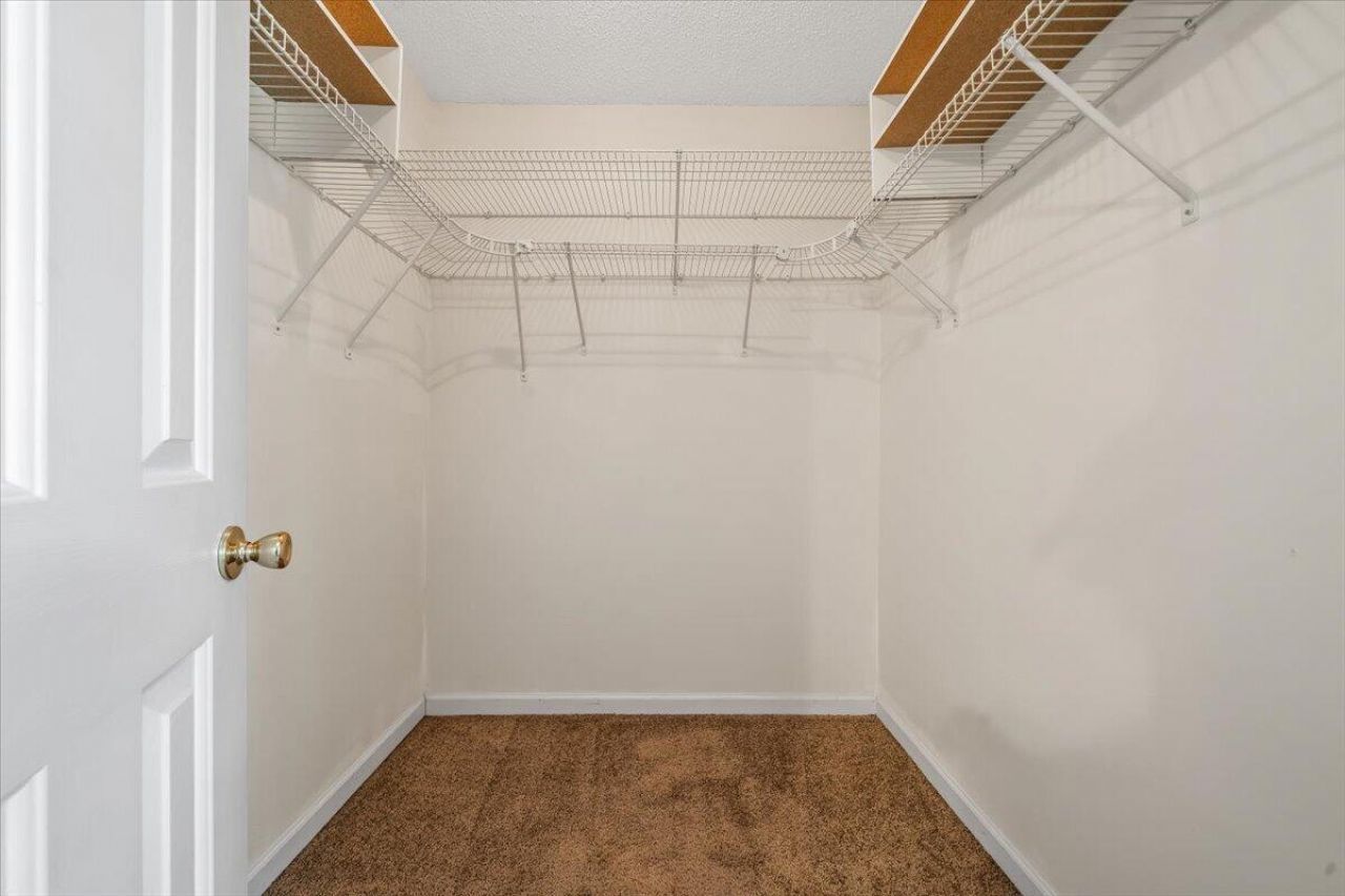 667 Ponderosa Drive Photo 18