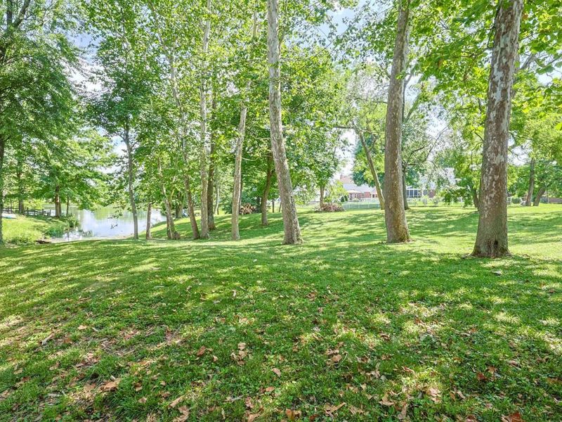 6502 Blossomwood Court, Florence, KY 41042 Photo 47
