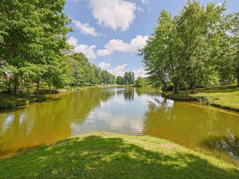 6502 Blossomwood Court, Florence, KY 41042 Photo 48