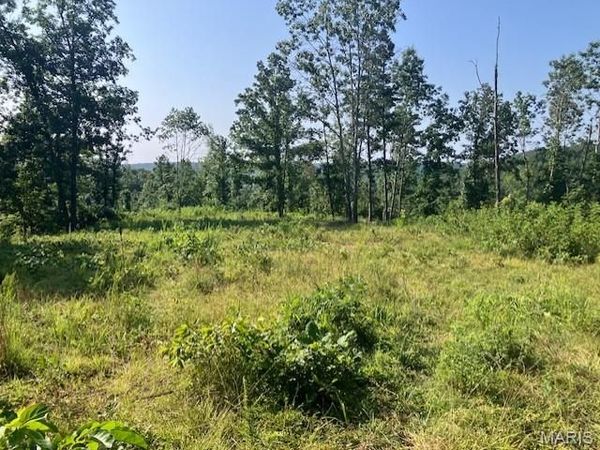 132 Madison CR 410 , Fredericktown, MO 63645