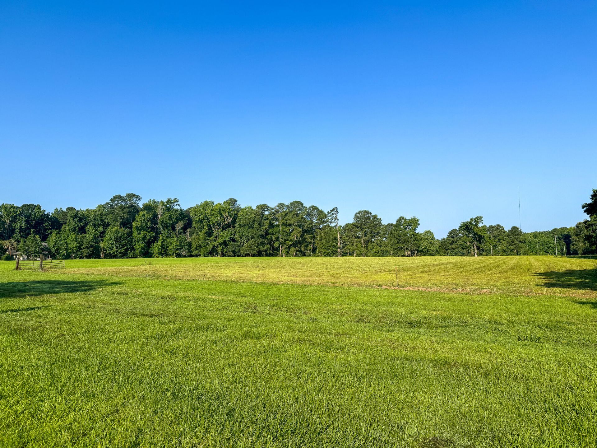 0 Hope Plantation Lane Photo 11